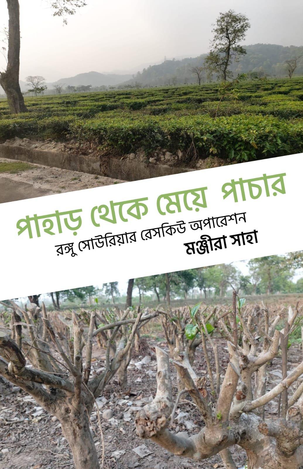 পাহাড় থেকে মেয়ে পাচার